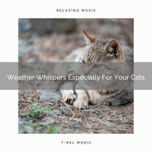 Weather Whispers Especially For Your Cats - Pets Total Relax