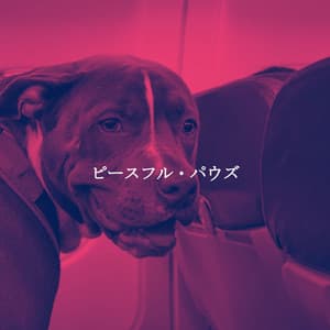 ピースフル・パウズ - Coffeehouse Jazz