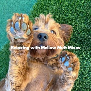 Relaxing with Mellow Mutt Mixes - Music for Dogs Radio