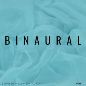 Binaural: Expresión De Meditación Vol. 1 - Sat-Chit