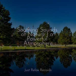 Soothing Sounds of Nature | a Powerful Atmosphere - Lucid Dreaming World-Collective Unconscious Mind