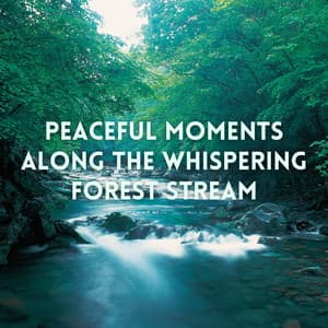 Peaceful Moments Along the Whispering Forest Stream - Nature Lab