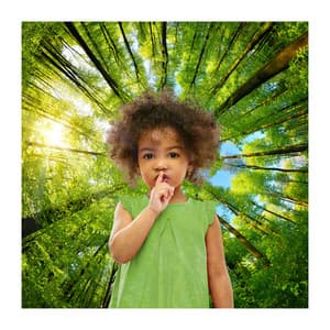 Baby Shusher Nature Sounds For Sleeping - Forest - Dream Supplier
