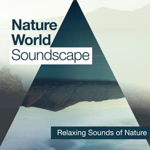 Nature World Soundscape - Relaxing Sounds Of Nature
