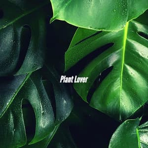 Plant Lover - Smooth Dinner Jazz