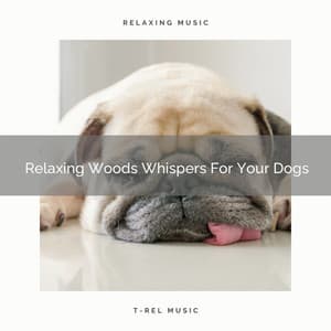 Relaxing Woods Whispers For Your Dogs - Dog Total Relax