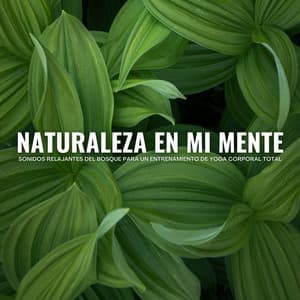 Naturaleza En Mi Mente: Sonidos Relajantes Del Bosque Para Un Entrenamiento De Yoga Corporal Total - Sonidos Naturaleza