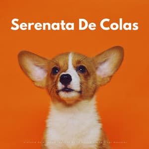 Serenata De Colas: Sinfonía De Ritmos Binaurales De La Naturaleza Para Las Mascotas - Bestia binaural