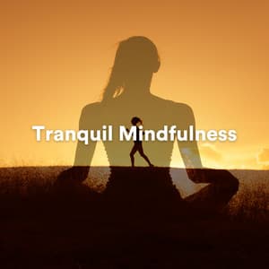 Tranquil Mindfulness - Ambient Relaxation
