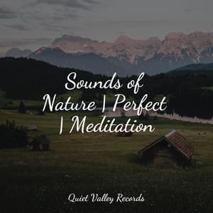 Sounds of Nature | Perfect | Meditation - Soothing Nature Sounds