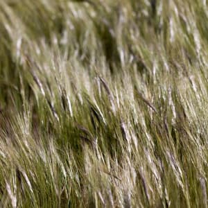 Medic Sounds | Healing - Mindfulness Mediation World