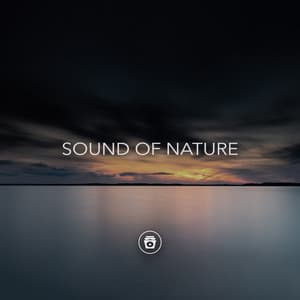 Sound Of Nature - Soothing Music