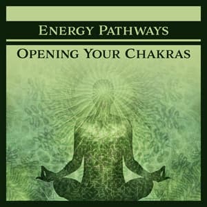 Energy Pathways - Reiki Chakra Consort