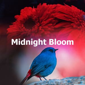 Midnight Bloom - Healing Nature FX