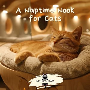 A Naptime Nook for Cats - Cat Spa Club
