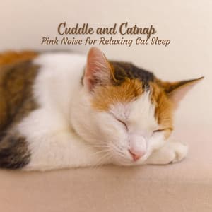 Cuddle and Catnap: Pink Noise for Relaxing Cat Sleep - Pink Noise for Sleep