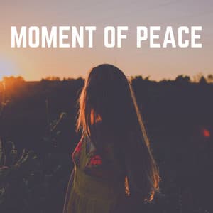 Moment of Peace - White Noise Sound Garden