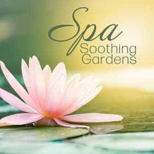 Spa Soothing Gardens: Relax and Chill, Spa Treatments - Spa Healing Collection