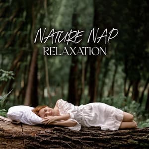 Soothing Airflow Nap Harmony - Angela Laur