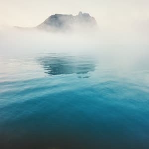 Focus Flow - Yoga Flow