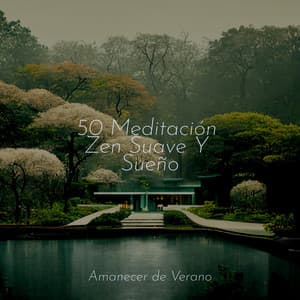 50 Meditación Zen Suave Y Sueño - Deep Sleep Relaxation