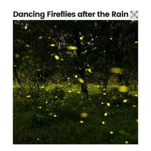 Dancing Fireflies After the Rain - Meditation Rain Sounds