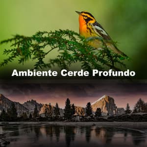 Ambiente Cerde Profundo - Musica Para Dormir y Sonidos de la Naturaleza