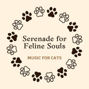 Serenade for Feline Souls: Music for Cats - Sleepy Cat