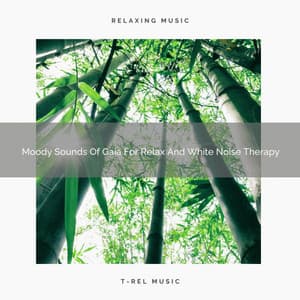 Moody Sounds Of Gaia For Relax And White Noise Therapy - Forest Soundscapes