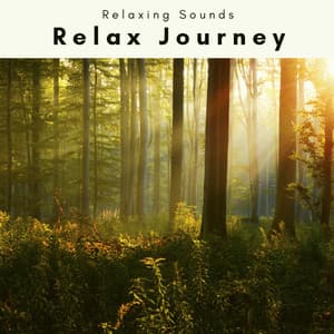 1 Relax Journey - Earthlite