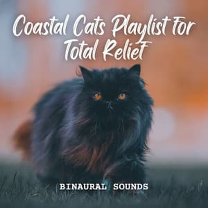 Binaural Sounds: Coastal Cats Playlist for Total Relief - Binaural Beats System