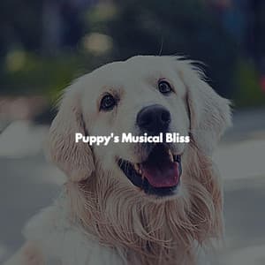 Puppy's Musical Bliss - Jazz Saxophone Playlist