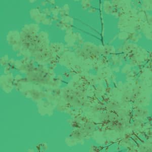 Ambiance for Sleeping In - Sleepy Times