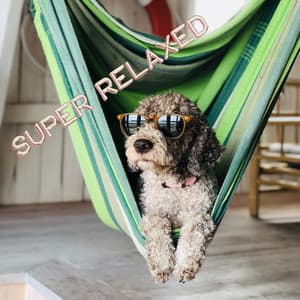 Super Relaxed - Soothing Dog Sounds