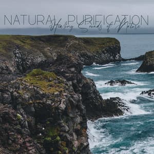 Natural Purification: Healing Sounds of Nature for Deep Body & Mind Regeneration - Background Music Specialists