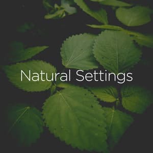Natural Settings - Nature Label