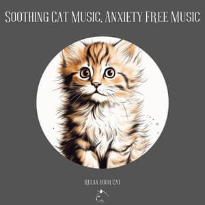 Soothing Cat Music, Anxiety Free Music - Relax Your Cat