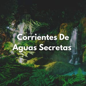 Corrientes De Aguas Secretas - Riverside subterráneo