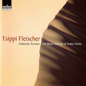 Tsippi Fleischer: Arabische Texturen - Tsippi Fleischer