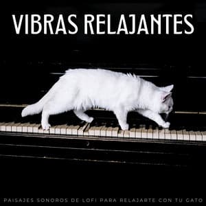 Vibras Relajantes: Paisajes Sonoros De Lofi Para Relajarte Con Tu Gato - Vibraciones lofi