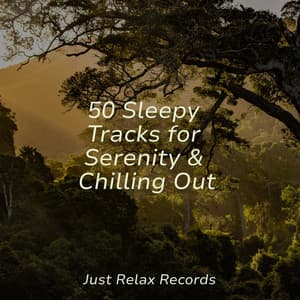 50 Sleepy Tracks for Serenity & Chilling Out - ASMR HD