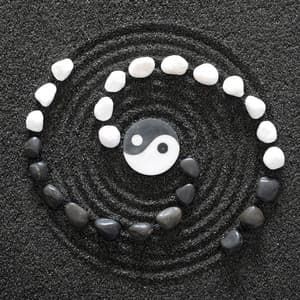 Où le Yin et le Yang se détendent - Chloé Paix