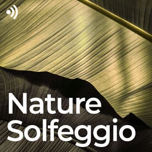 Nature Solfeggio: Green Healing Frequencies - Nature Sounds for Sleep and Relaxation