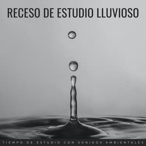 Receso De Estudio Lluvioso: Tiempo De Estudio Con Sonidos Ambientales - Agradable Musica para Leer