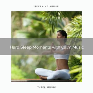 2020 Best: Hard Sleep Moments with Calm Music - Dogs Music Therapy