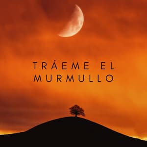 Tráeme El Murmullo - Agradable Musica para Leer