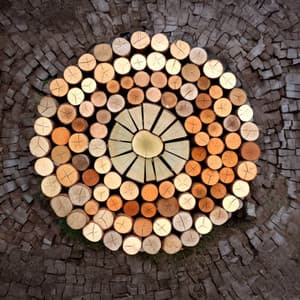 Harmonizing Home Energy with Wood Element - Dani Mendareve