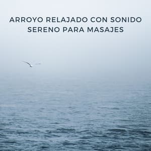 Arroyo Relajado Con Sonido Sereno Para Masajes - Arroyos Ventosos