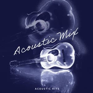 Acoustic Mix - Acoustic Hits