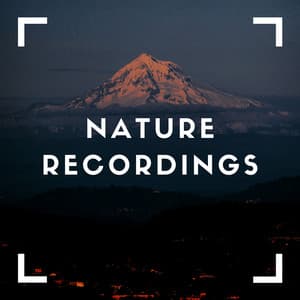 Natural Recordings of Green - Natural Sample Makers